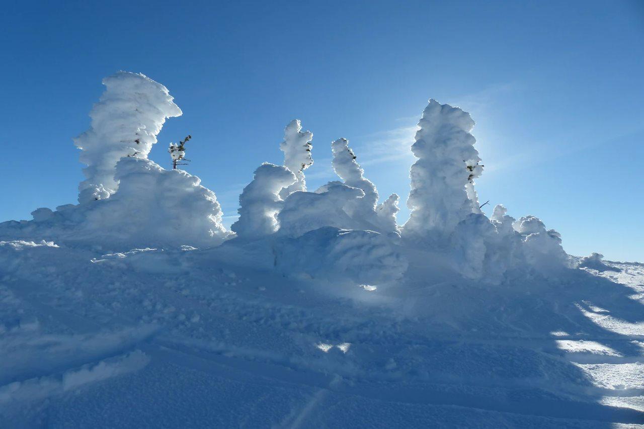 Sundance Resort Big White Ski Resort Exterior photo